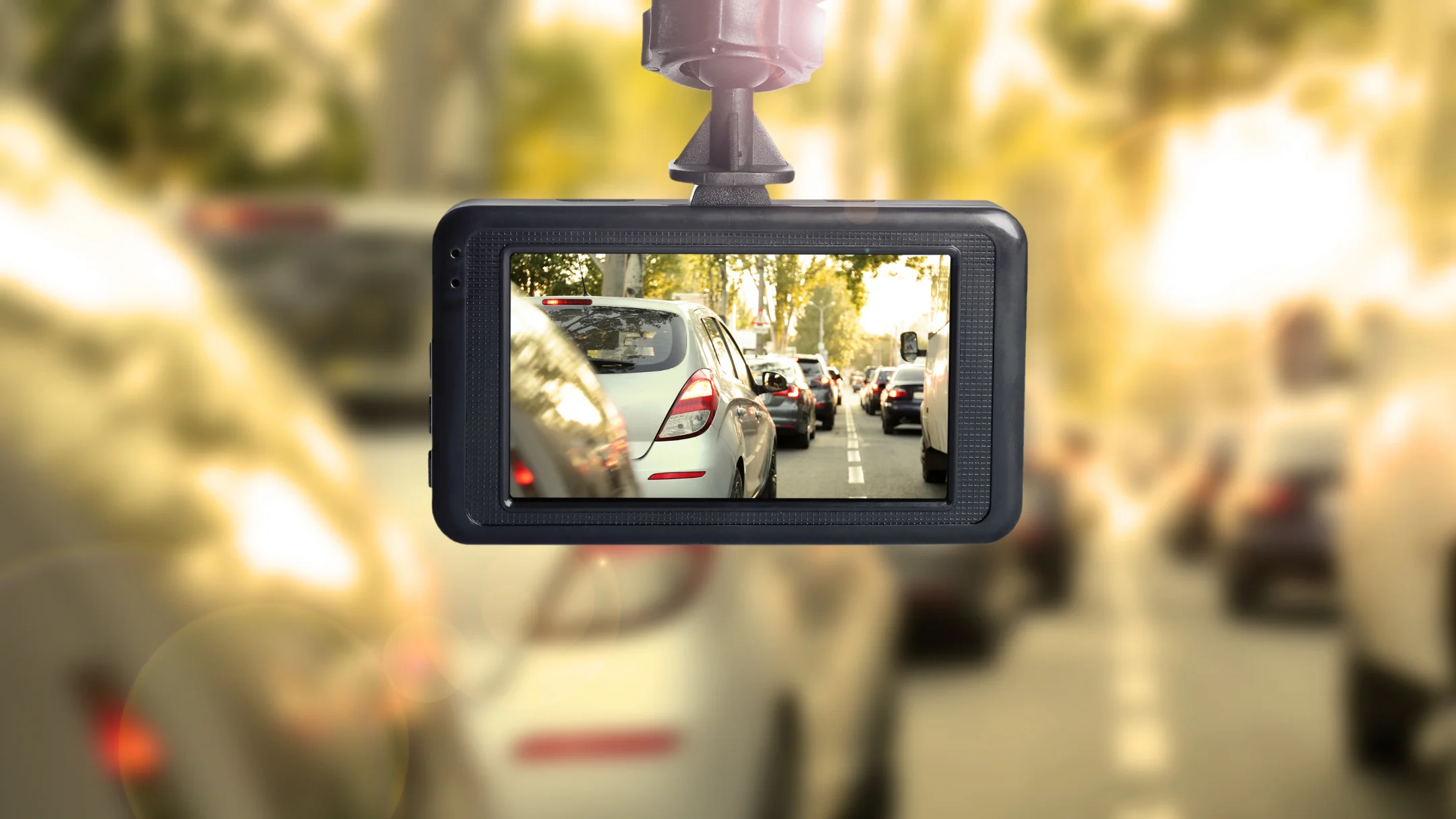 cameras